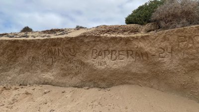 Grabado en el litoral de La Graciosa. Foto: Andrea Domínguez.
