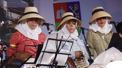 Festival folclórico Rubicón, 2024