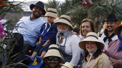 ROMERIA DE LOS REMEDIOS  (53)
