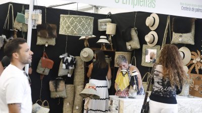 35ª Feria de Artesanía, 2024 (79)