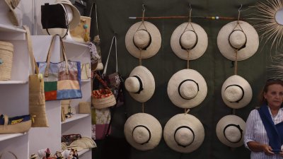 35ª Feria de Artesanía, 2024 (91)