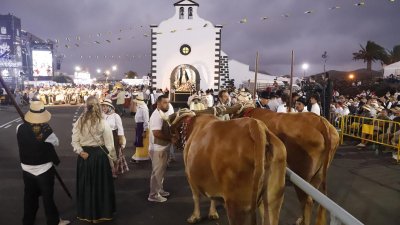Romeria Ofrenda de Los Dolores  (76)