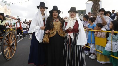 Romeria Ofrenda de Los Dolores  (80)
