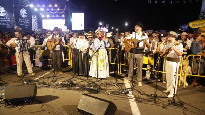 Romeria Ofrenda de Los Dolores  (95)