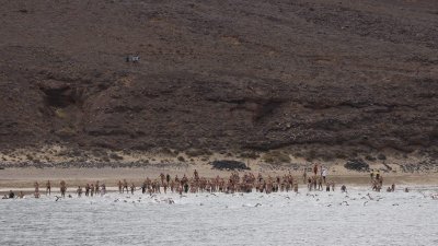 XXVIII Travesía a Nado 'El Río' (Fotos: Juan Mateos y Cabildo)