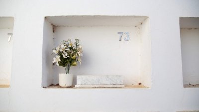 Momento de la exhumación de cinco cadáveres en el Cementerio de San Román. Fotos: Juan Mateos.