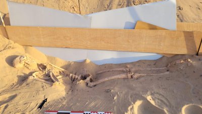 Nuevo descubrimiento en  San Marcial de Rubicón