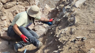 Nuevo descubrimiento en  San Marcial de Rubicón
