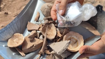 Nuevo descubrimiento en  San Marcial de Rubicón