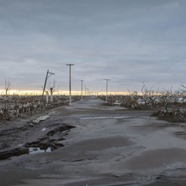 La película 'Homo sapiens', de Nikolaus Geyrhalter