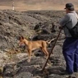 Imagen de cazador Foto: La Provincia