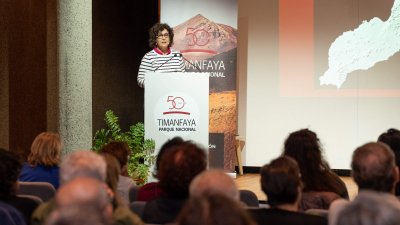 Conferencias sobre vulcanología