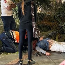 Herida al caer una palmera en Tías (Fotos: La Voz)