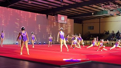 Festival de Gimnasia de Navidad