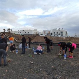 Estudiantes plantan flora autóctona en Arrecife. Foto: Cabildo de Lanzarote.