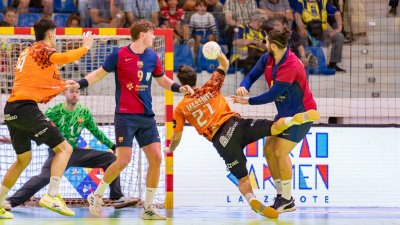 Copa de España de Balonmano