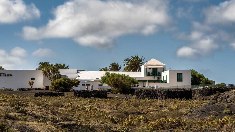 Bodegas El Grifo