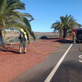 Los bomberos apagando el incendio del palmeral