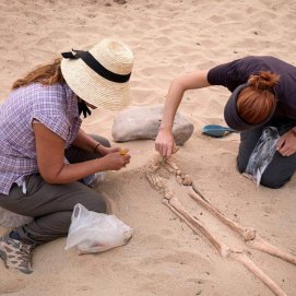Excavacion en yacimiento del Rubicon
