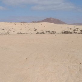 Fotografías de minas de extracción de jable en abandono donde es apreciable la pérdida de arenas sueltas y la actual existencia de arenas finas (madres) al descubierto. Foto: Ecologistas en Acción.
