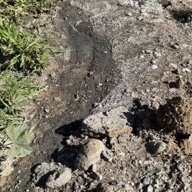 Los vertidos de aguas fecales en el barranco de Tenesía 