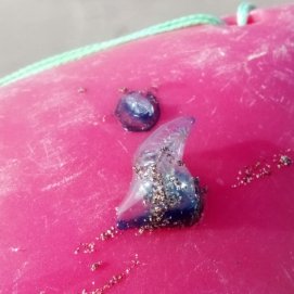 Medusas en la playa de La Garita