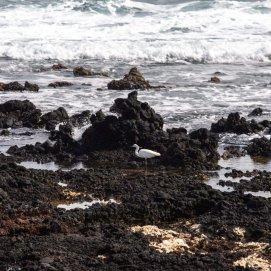 Vistas del mar en el litoral de Punta Mujeres, en Lanzarote. Foto: Andrea Domínguez.