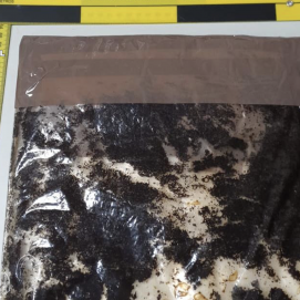 La cocaína incautada por la Guardia Civil en el puerto de Arrecife. Foto: Guardia Civil.