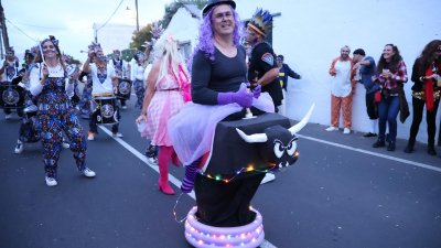 COSO CARNAVAL DE HARÍA 2025 (43)