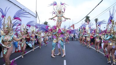 COSO CARNAVAL DE HARÍA 2025 (1)
