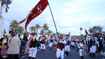 COSO CARNAVAL DE HARÍA 2025 (8)