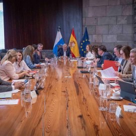 Consejo de Gobierno del Ejecutivo canario