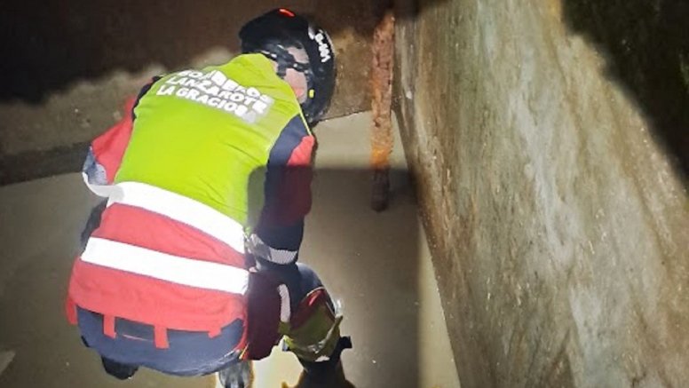Bomberos rescatan a un animal en un aljibe