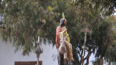 Domingo de Ramos en Teguise (Norberto de León)