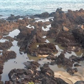 Vertido aguas fecales en Punta Mujeres