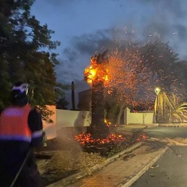 Palmera ardiendo