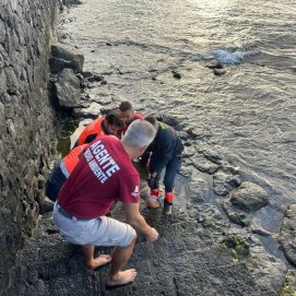 Recuperada una tortuga muerta en la costa de Arrecife