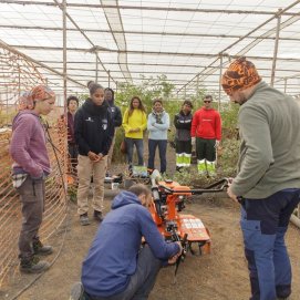 Modulo de Agricultura Complejo Agroindustrial