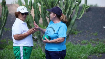 Torneo de Bola Canaria Abuelos Conejeros