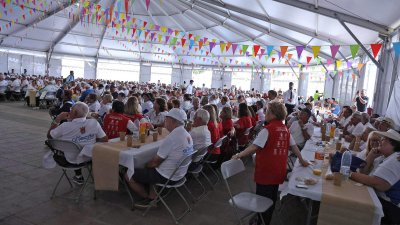 XXIII Torneo de Bola Canaria AbuelosConejeros  (36)