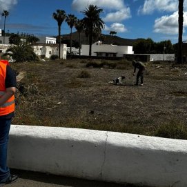 Perros Unidad Canina en Haría 