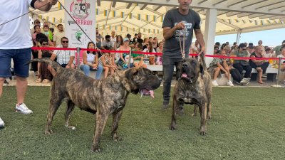 Club Lanzaroteño del Presa Canario