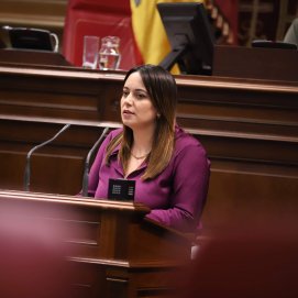 La diputada del Grupo Canario Nacionalista (CCa), Cristina Calero