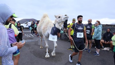 WINE RUN 2025  (24)