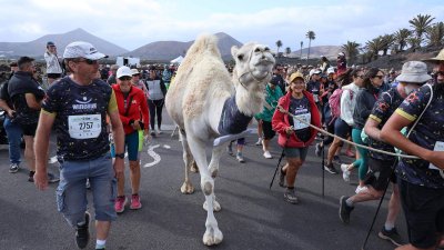 WINE RUN 2025  (56)