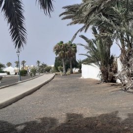 Jardines en Costa Teguise