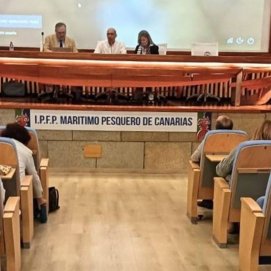 Las comunidades educativas de Lanzarote en la reunión con la Unidad contra la violencia contra la mujer de la Dirección del Estado