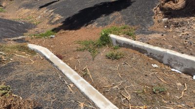 Estado de los jardines del Aeropuerto de Lanzarote