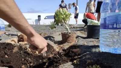 Iniciativa de Arrecife Natura