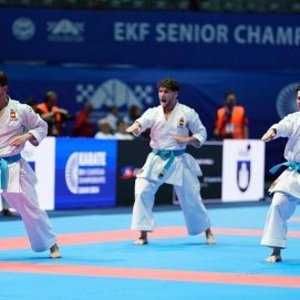 Fotografía de los karatekas de equipos nacionales españoles (Diario Sur)